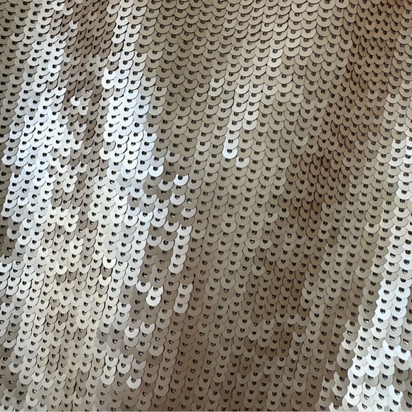 The Limited Blush/Beige Sequin Tank - Picture 5 of 8